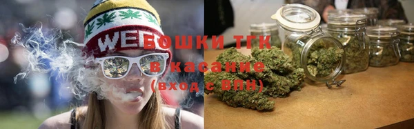 сатива Балабаново