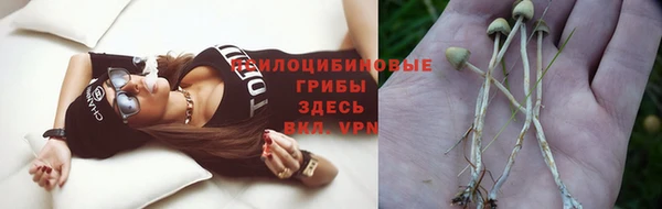 кокс Баксан